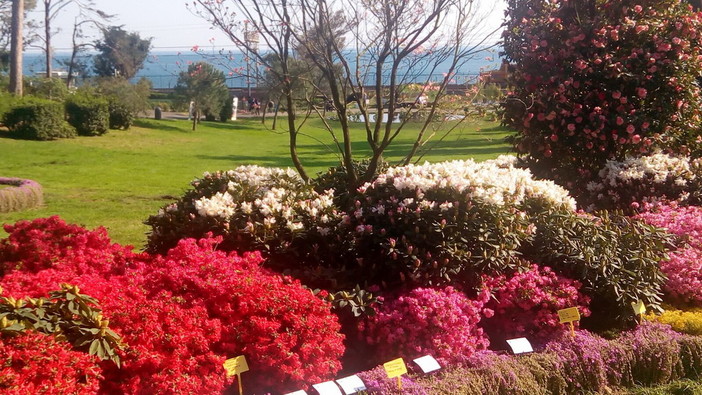 Made in Italy: dati Istat in occasione di Euroflora, Coldiretti con 832 milioni record export piante e fiori