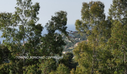 Il campo golf di Sanremo scelto dai 'big spender' appassionati di Formula 1 per raggiungere Montecarlo in elicottero