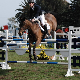 Equitazione: grande spettacolo per la prima giornata del Concorso Internazionale a Sanremo Equitazione: grande spettacolo per la prima giornata del Concorso Internazionale a Sanremo
