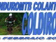Sanremo: domenica torna a Sanremo l'EnduroMtb con la gara di Coldirodi Sanremo: domenica torna a Sanremo l'EnduroMtb con la gara di Coldirodi