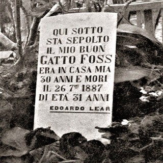 Edward Lear e la tomba del gatto Foss