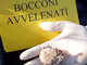 Triora: presenza di esche avvelenate, morti già alcuni cani. Le raccomandazioni della Provincia Triora: presenza di esche avvelenate, morti già alcuni cani. Le raccomandazioni della Provincia