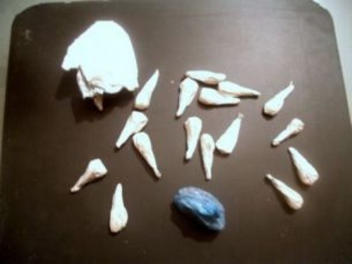 Sanremo: la Polizia ha arrestato il pusher che ha spacciato la droga 'killer' negli ultimi giorni Sanremo: la Polizia ha arrestato il pusher che ha spacciato la droga 'killer' negli ultimi giorni