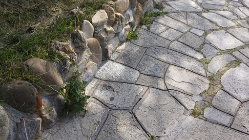 Ospedaletti: troppe erbacce su strade e marciapiedi, molti residenti chiedono un intervento di sfalcio (Foto)