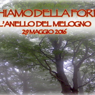 Organizzata da Monesi Young domenica prossima l'escursione ‘Il richiamo della Foresta – Anello del Melogno’