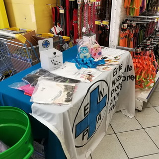 Sanremo: oggi da Fortesan in via Roma sarà possibile donare cibo per gli animali del canile di San Pietro