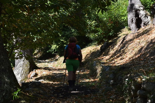 L’associazione Monesi Young riparte alla grande con le escursioni alla scoperta delle vicine Alpi e dell’entroterra L’associazione Monesi Young riparte alla grande con le escursioni alla scoperta delle vicine Alpi e dell’entroterra