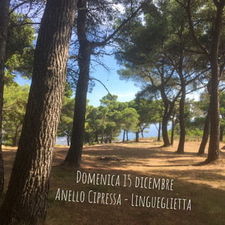 Serie di escursioni nel prossimo fine settimana organizzate dalle guide di Ponente Experience Serie di escursioni nel prossimo fine settimana organizzate dalle guide di Ponente Experience