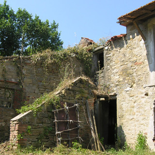 Imperia: l'associazione 'Senape' ha allo studio un 'EcoVillaggio' nella zona di Borgo Prino Imperia: l'associazione 'Senape' ha allo studio un 'EcoVillaggio' nella zona di Borgo Prino