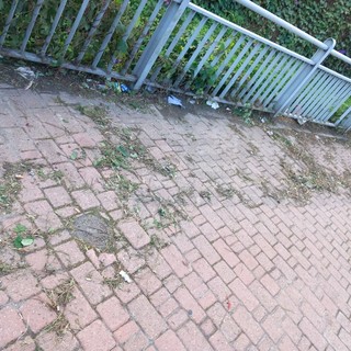 Ventimiglia: erba sfalciata in corso Genova e lasciata sul marciapiede, lettore "Un lavoro mal eseguito" (Foto)