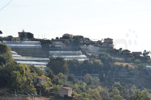 Sanremo: elicottero a bassa quota sulle colline dell'entroterra, in molti con il naso all'insù Sanremo: elicottero a bassa quota sulle colline dell'entroterra, in molti con il naso all'insù