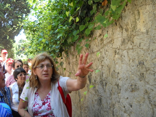 Ventimiglia: nuovo successo per l’escursione sulla Via Iulia Augusta Ventimiglia: nuovo successo per l’escursione sulla Via Iulia Augusta