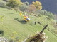 Triora: 82enne di Sanremo muore a causa di un malore durante una battuta di caccia (Foto) Triora: 82enne di Sanremo muore a causa di un malore durante una battuta di caccia (Foto)