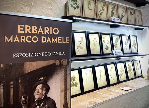 Marco Damele: “Riscoprire gli erbari: custodi del territorio e della nostra identità culturale” Marco Damele: “Riscoprire gli erbari: custodi del territorio e della nostra identità culturale”