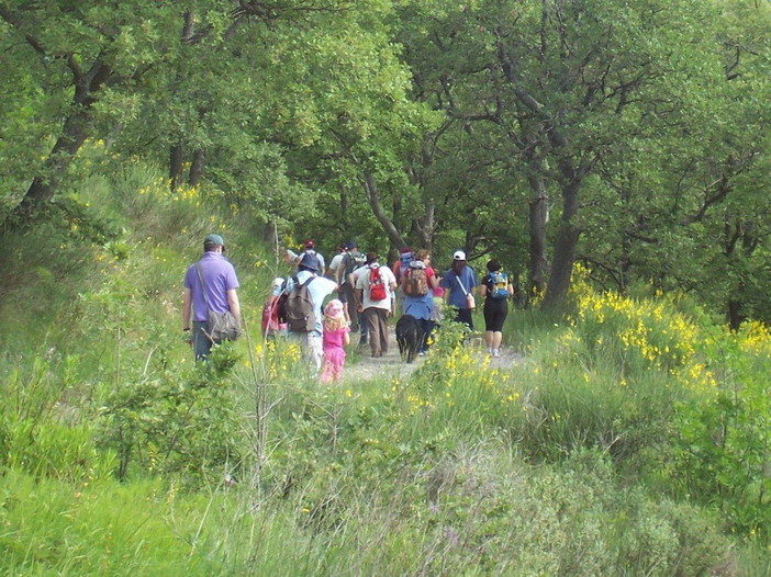 Escursioni: nel prossimo weekend tornano gli appuntamenti nel Parco delle Alpi Liguri Escursioni: nel prossimo weekend tornano gli appuntamenti nel Parco delle Alpi Liguri