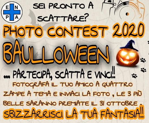 Sanremo: al via le iscrizioni per il contest fotografico 'Bauwloween' organizzato dall'Enpa