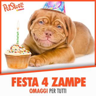 Arma di Taggia: domani con l'Enpa di Sanremo la festa per il secondo compleanno del 'Pet Store' Arma di Taggia: domani con l'Enpa di Sanremo la festa per il secondo compleanno del 'Pet Store'