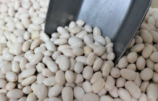 "Fagioli Bianchi delle Alpi Liguri: caratterizzazione e recupero": il 16 maggio evento vivaistico