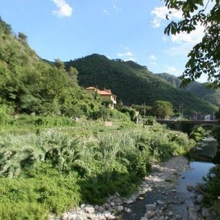 Camporosso: trenta pesci salvati dagli agenti della Forestale di Ventimiglia, ora vivranno nell'oasi faunistica di Nervia Camporosso: trenta pesci salvati dagli agenti della Forestale di Ventimiglia, ora vivranno nell'oasi faunistica di Nervia