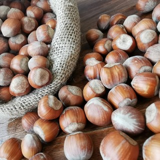 Dalla provincia di Cuneo: ecco il programma della Fiera Nazionale della Nocciola di Cortemilia Dalla provincia di Cuneo: ecco il programma della Fiera Nazionale della Nocciola di Cortemilia