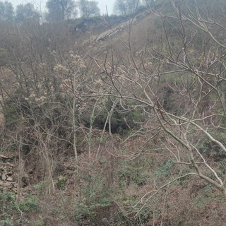 Chiusa per frana una deviazione della strada provinciale 548 tra i comuni di Montalto e Badalucco (Foto e Video)