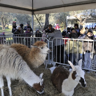 San Bartolomeo al Mare: tutto pronto per la tradizionale Fiera della Candelora