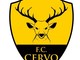 Il logo dell'FC Cervo 2016