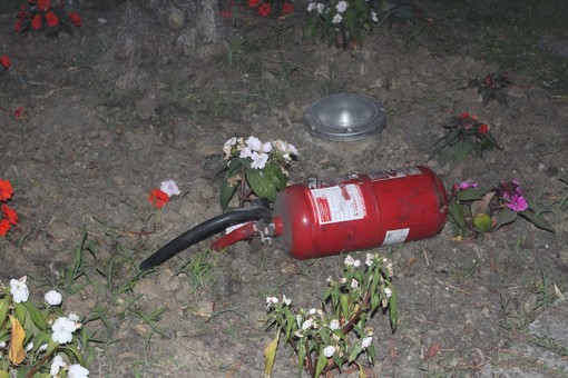 Atti di vandalismo sui bus ieri sera ad Imperia: lettore "Perchè danneggiare l'arredo urbano?"