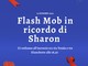Domani il flash mob in memoria di Sharon Micheletti, Alternativa Intemelia: “Dinamiche malate figlie della concezione della donna come proprietà privata”