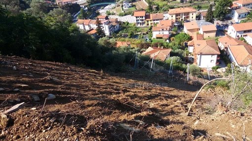 Badalucco: frana in regione Poggio, lettrice chiede risposte "Tante parole ma siamo ancora isolati e ora arrivano le piogge autunnali" Badalucco: frana in regione Poggio, lettrice chiede risposte "Tante parole ma siamo ancora isolati e ora arrivano le piogge autunnali"