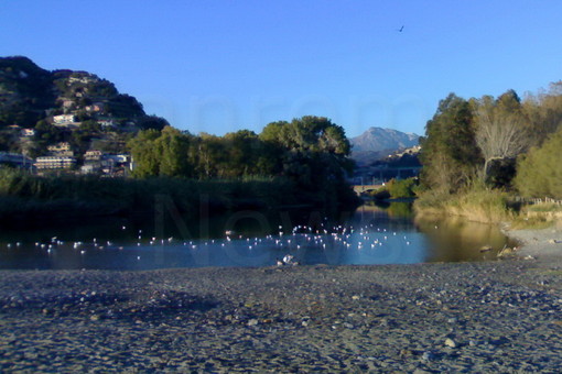 Ponte ciclo-pedonale tra Camporosso e Ventimiglia: c’è l’ok definitivo, il progetto milionario passa all’esame della Conferenza dei Servizi Ponte ciclo-pedonale tra Camporosso e Ventimiglia: c’è l’ok definitivo, il progetto milionario passa all’esame della Conferenza dei Servizi