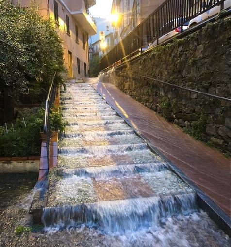 Imperia: anche il capoluogo colpito dalle forti piogge della scorsa notte, strade allagate e numerosi interventi dei Vigili del Fuoco (foto) Imperia: anche il capoluogo colpito dalle forti piogge della scorsa notte, strade allagate e numerosi interventi dei Vigili del Fuoco (foto)
