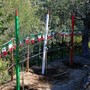 Ventimiglia celebra la Festa degli Alberi - “Memorial Italo Benedusi” (Foto) Ventimiglia celebra la Festa degli Alberi - “Memorial Italo Benedusi” (Foto)