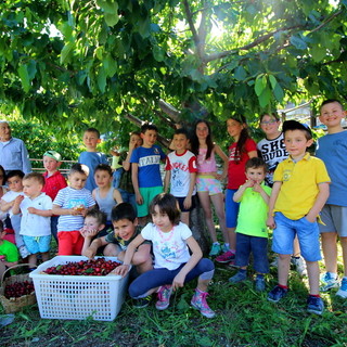 Pontedassio: nuovo dolcissimo appuntamento a Villa Viani con la festa delle ciliegie (Foto)