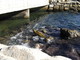 Sanremo: approvato il progetto esecutivo per la pulizia dello scolmatore del torrente San Romolo in Pian di Nave