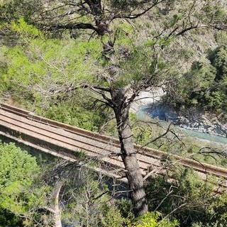 Tavolo Piemonte-Liguria-Région Sud, Cuneo-Ventimiglia linea ferroviaria strategica per l’Italia e la Francia