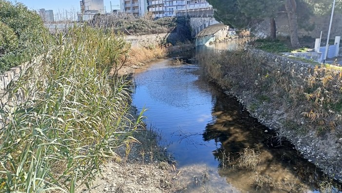 Vallecrosia, dalla Regione Liguria 2,5 milioni di euro per il Verbone. Perri: "Passo concreto per la messa in sicurezza del territorio" Vallecrosia, dalla Regione Liguria 2,5 milioni di euro per il Verbone. Perri: "Passo concreto per la messa in sicurezza del territorio"