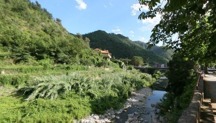 Camporosso: trenta pesci salvati dagli agenti della Forestale di Ventimiglia, ora vivranno nell'oasi faunistica di Nervia Camporosso: trenta pesci salvati dagli agenti della Forestale di Ventimiglia, ora vivranno nell'oasi faunistica di Nervia