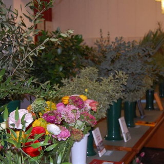 Bordighera: ogni mese l'abbinamento di un fiore ad un libro con Floramondadori e R6B Agricoltura