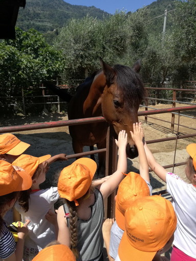 Gita alla fattoria 'Rio Lovaira' di Camporosso per gli alunni della Prima 'Almerini' di Sanremo