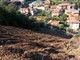 Badalucco: frana in regione Poggio, lettrice chiede risposte "Tante parole ma siamo ancora isolati e ora arrivano le piogge autunnali"