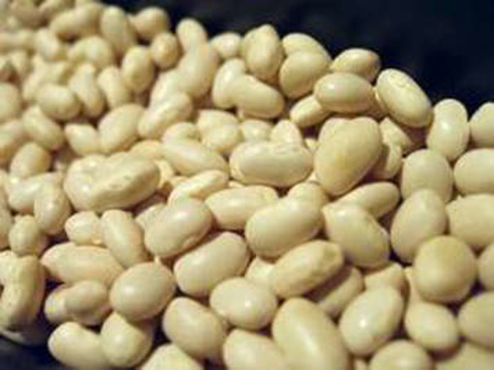 Conio: 30 partecipanti di 'Libertà di Esprimersi' alla scoperta del locale 'fagiolo' Conio: 30 partecipanti di 'Libertà di Esprimersi' alla scoperta del locale 'fagiolo'