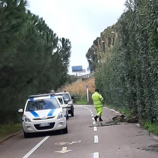 Santo Stefano al Mare: smottamento di terreno sotto l'Aurelia, massi finiscono sulla ciclabile (Foto) Santo Stefano al Mare: smottamento di terreno sotto l'Aurelia, massi finiscono sulla ciclabile (Foto)