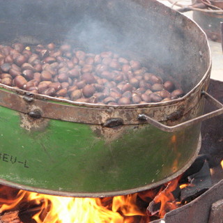 (Immagine generica d'archivio)