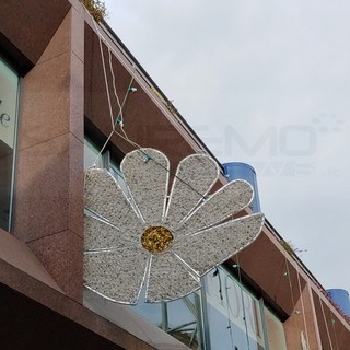 Sanremo: fiore 'appeso a un filo' all'esterno del Palafiori, opportuno un intervento (Foto)