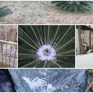 Freddo intenso e temperature in picchiata sulla provincia: nevischio ed effetto 'Graupeln' nell'entroterra