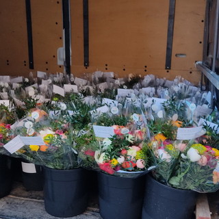 Ventimiglia: i bouquet offerti da Albintimilium per le mamme degli alunni della Primaria di via Veneto