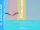 Imperia: al MACI arriva “Filmcaravan”, Festival Internazionale del cortometraggio Imperia: al MACI arriva “Filmcaravan”, Festival Internazionale del cortometraggio