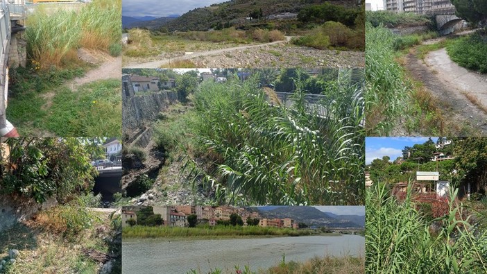 Arrivano le piogge: Comuni dell'estremo Ponente pronti per la pulizia di torrenti e alvei (Foto) Arrivano le piogge: Comuni dell'estremo Ponente pronti per la pulizia di torrenti e alvei (Foto)