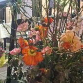 Sanremo, grande successo per il “Festival dei Fiori”: i ringraziamenti di Confcommercio e Federfiori